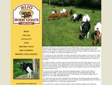 Tablet Screenshot of bijoboergoats.com